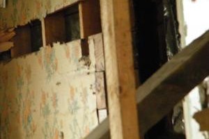 old-wallpaper-mary-shipman